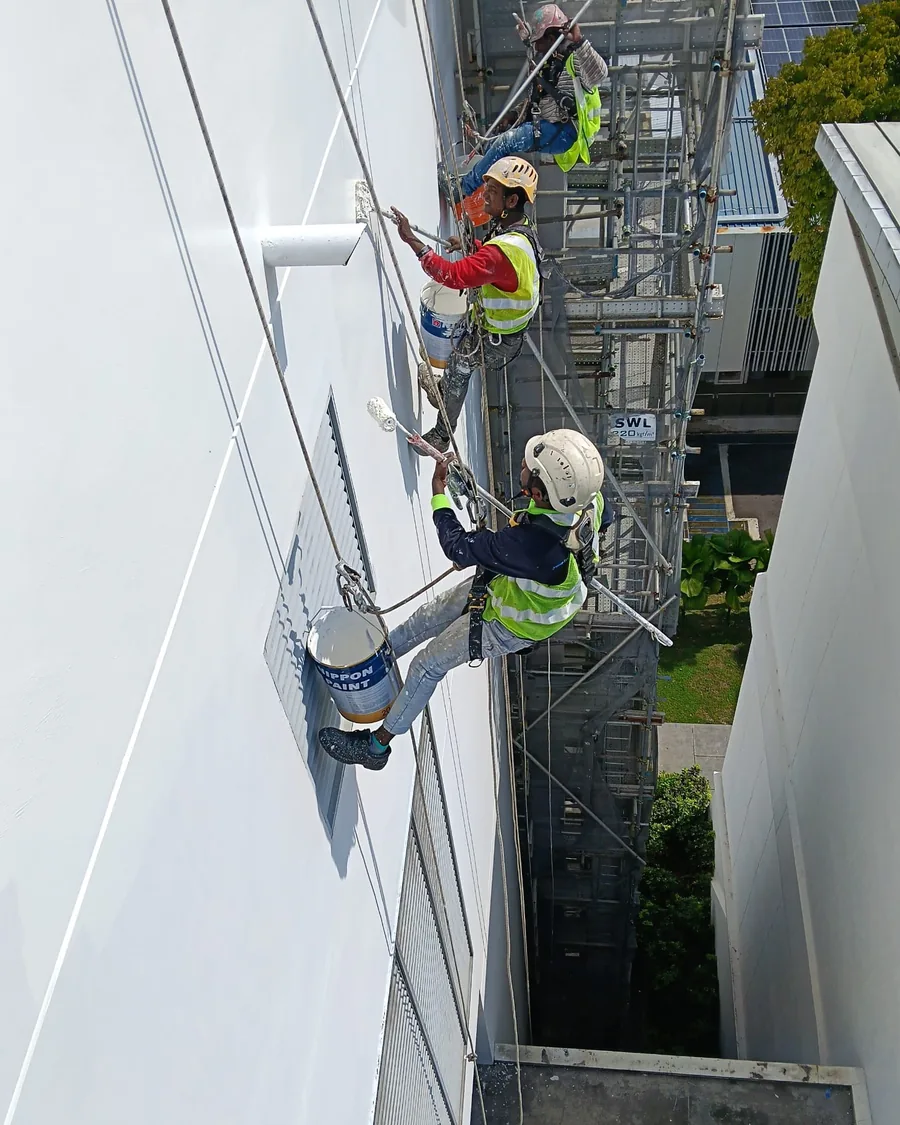 Two rope-access painters rolling the second coat onto a multi-storey exterior wall