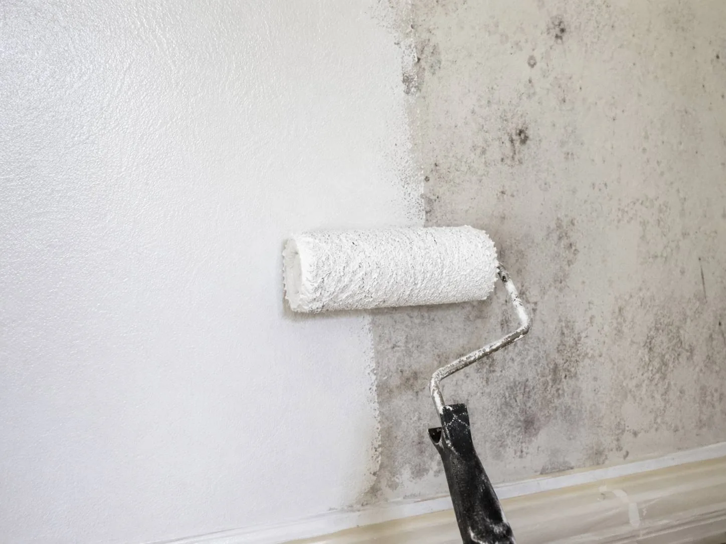 Stain-blocking sealer rolled over a treated wall, covering the last mould shadows